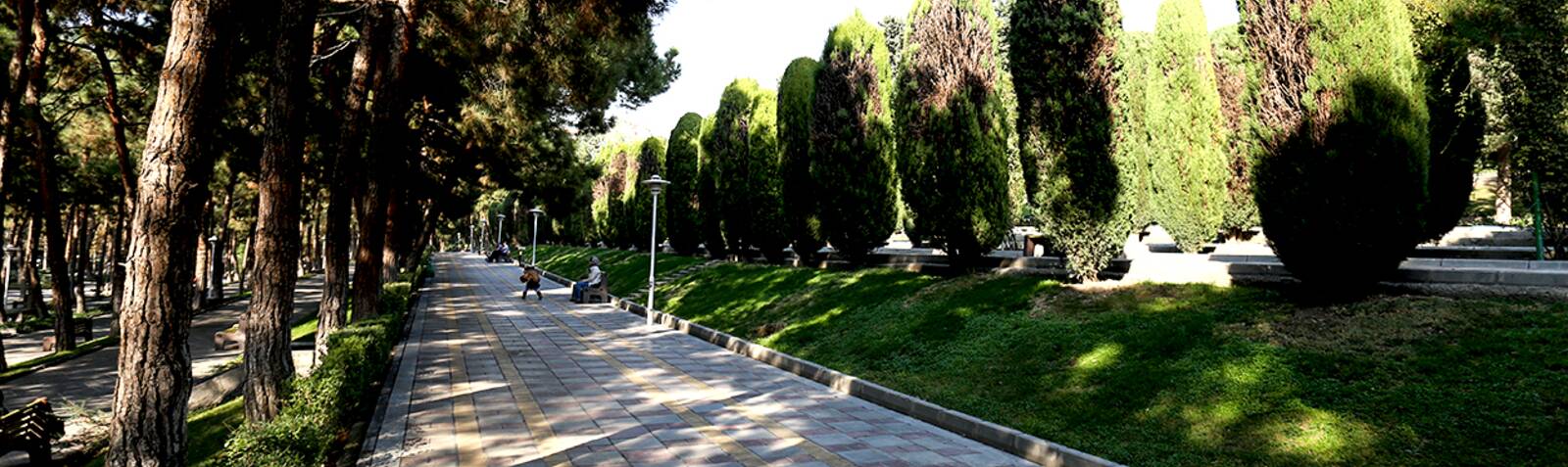 افسون مینیاتور ایرانی و باغ‌ شرقی